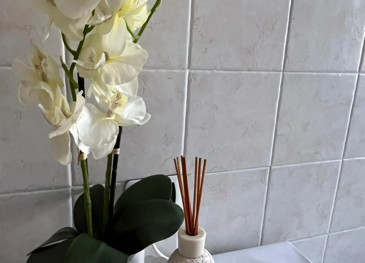 Alga Roma Apartment Italy